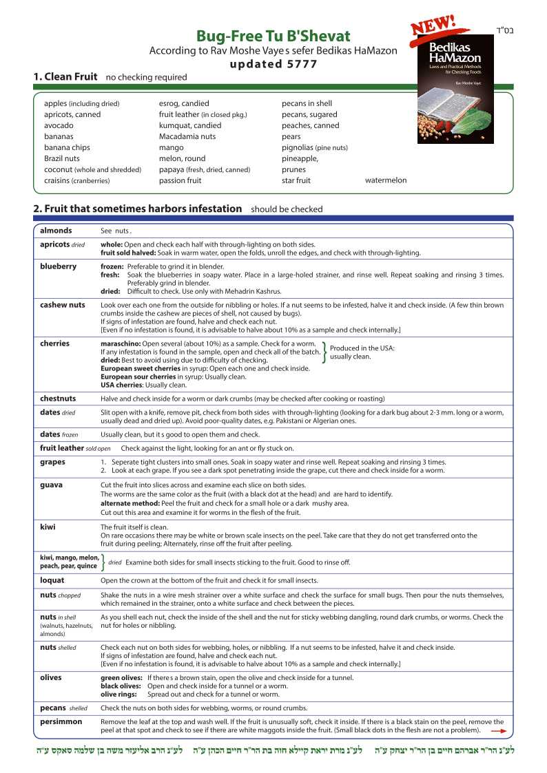 Shvat English 5777_1